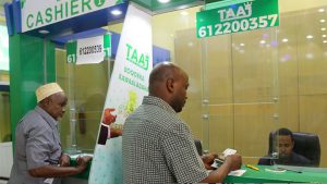 Read more about the article The Economic Impact of Mobile Money Adoption in Somalia