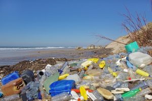 Read more about the article Impact of Consumerism on the Environment: Putting Consumers’ Behaviours at the Center of the Climate Change Debate