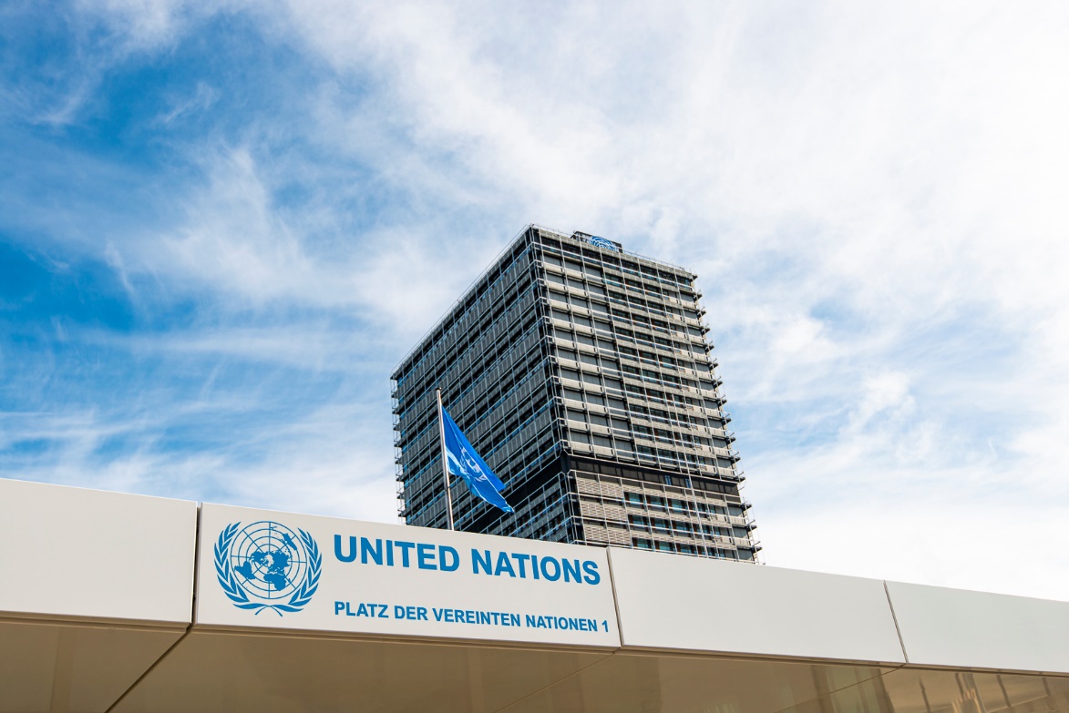 You are currently viewing CfMA and More than One-Third of non-ECOSOC Status Organisations Vetoed from OEWG Accreditation