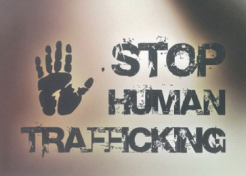 You are currently viewing Leveraging Digital Tools in the Fight Against Human Trafficking